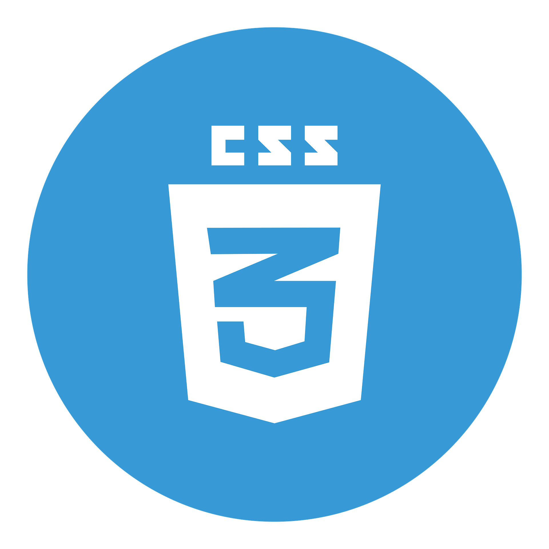 Picture logo of CSS